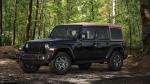 Jeep Wrangler Unlimited Black & Tan 2019 года
